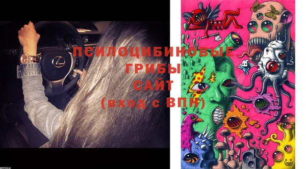 MESCALINE Няндома