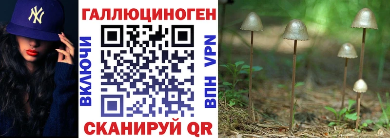 Купить  Курганинск  Псилоцибиновые грибы Magic Shrooms 